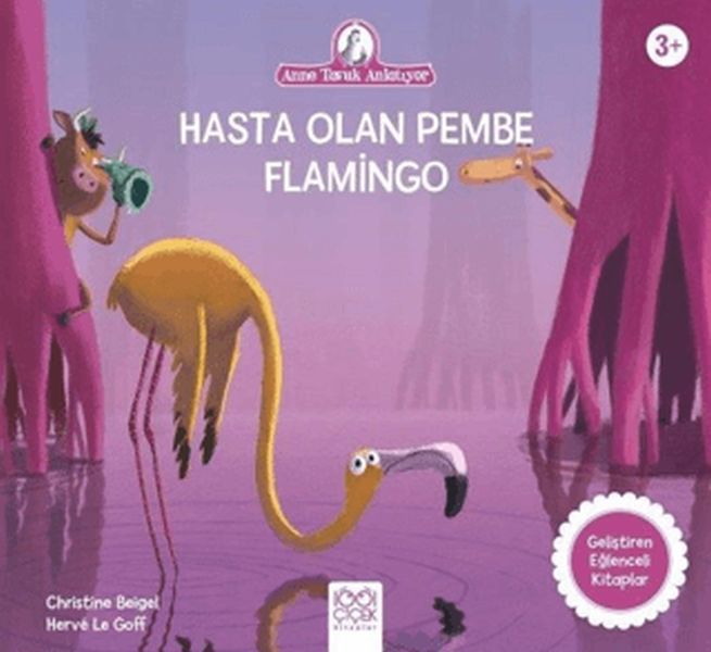 hasta-olan-pembe-flamingo