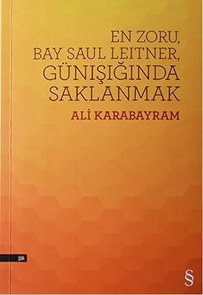 en-zoru-bay-saul-leitner-gunisiginda-saklanmak