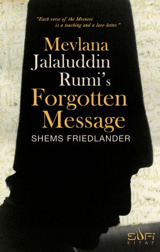 mevlana-jalaluddin-rumi-s-forgotten-message