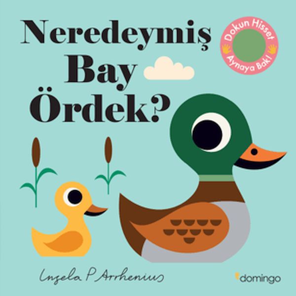 neredeymis-bay-ordek