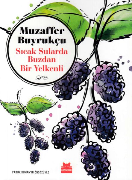 sicak-sularda-buzdan-bir-yelkenli