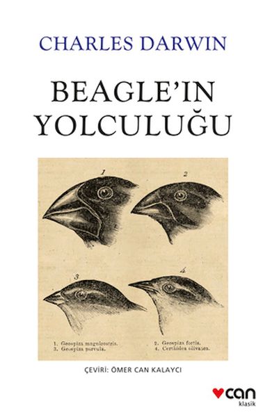 beagle-in-yolculugu