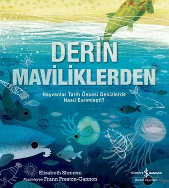 derin-maviliklerden