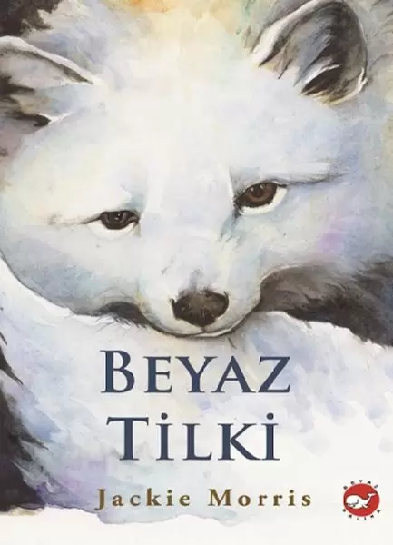 beyaz-tilki
