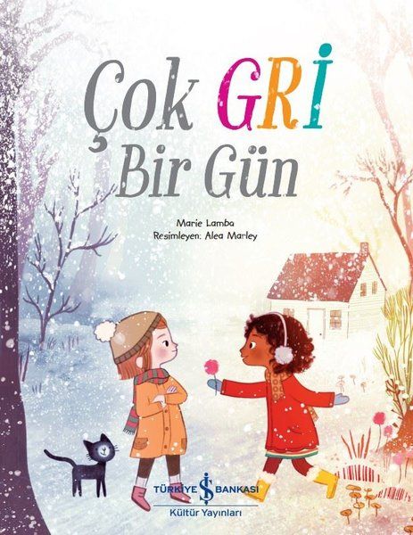 cok-gri-bir-gun