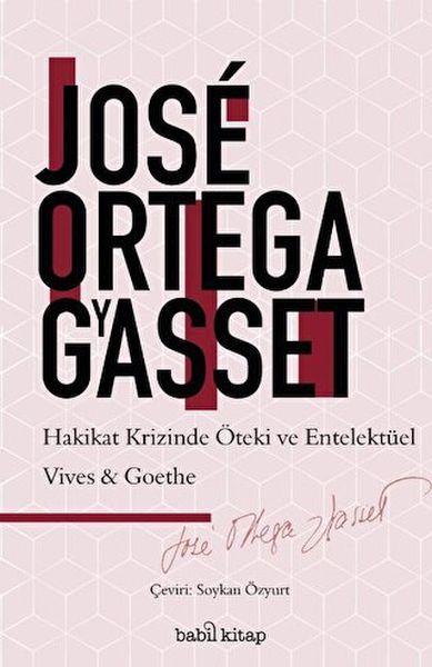 hakikat-krizinde-entelektuel-ve-oteki-vives-goethe