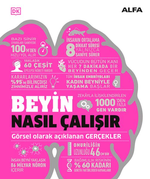 beyin-nasil-calisir