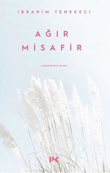 agir-misafir