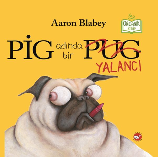 pig-adinda-bir-yalanci