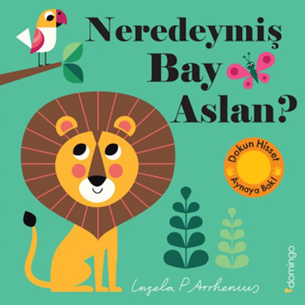 neredeymis-bay-aslan