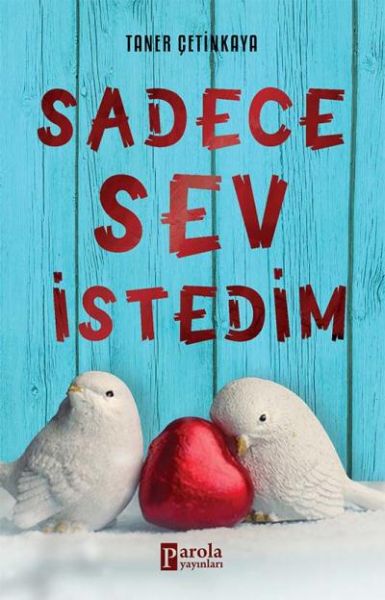 sadece-sev-istedim