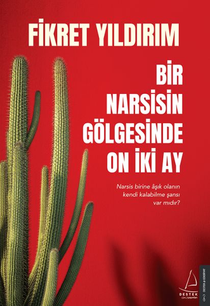 bir-narsisin-golgesinde-on-iki-ay-narsis-birine-asik-olanin-kendi-kalabilme-sansi-var-midir