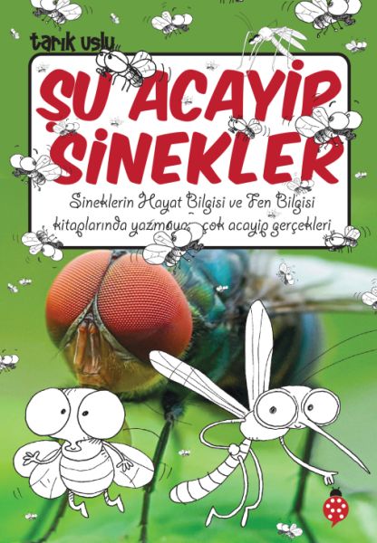 su-acayip-sinekler