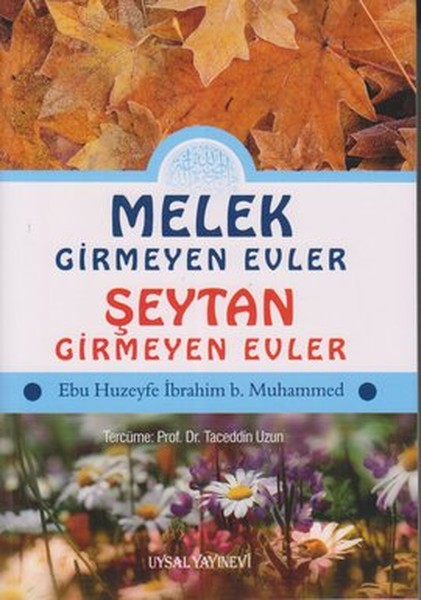 melek-girmeyen-evler-seytan-girmeyen-evler