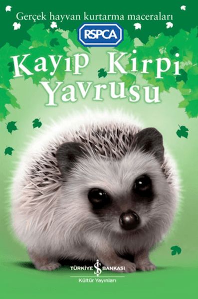 kayip-kirpi-yavrusu