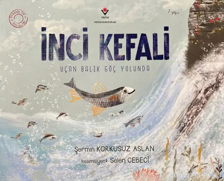 inci-kefali