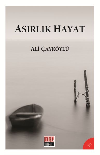 asirlik-hayat