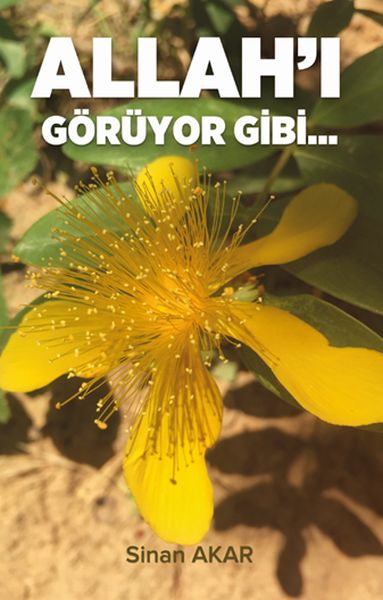 allah-i-goruyor-gibi