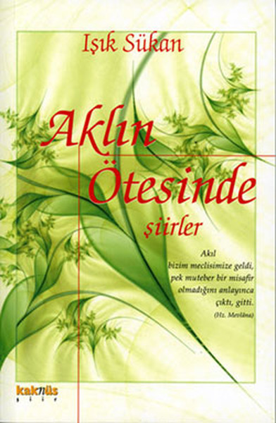 aklin-otesinde-siirler