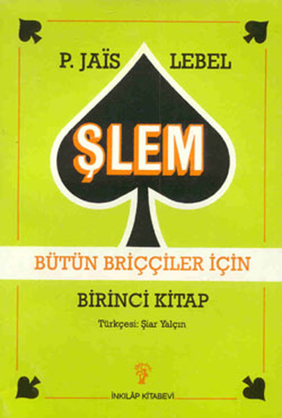 slem-butun-bricciler-icin