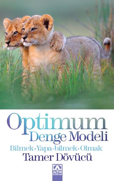 optimum-denge-modeli