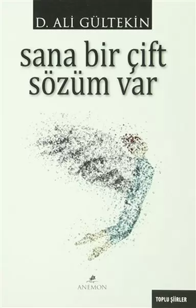 sana-bir-cift-sozum-var
