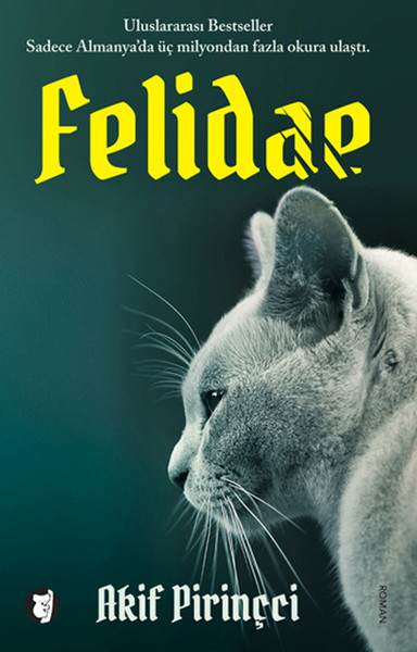 felidae