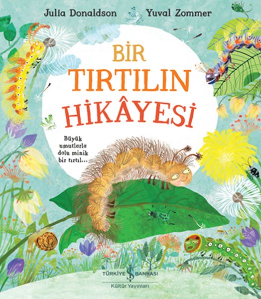 bir-tirtilin-hikayesi