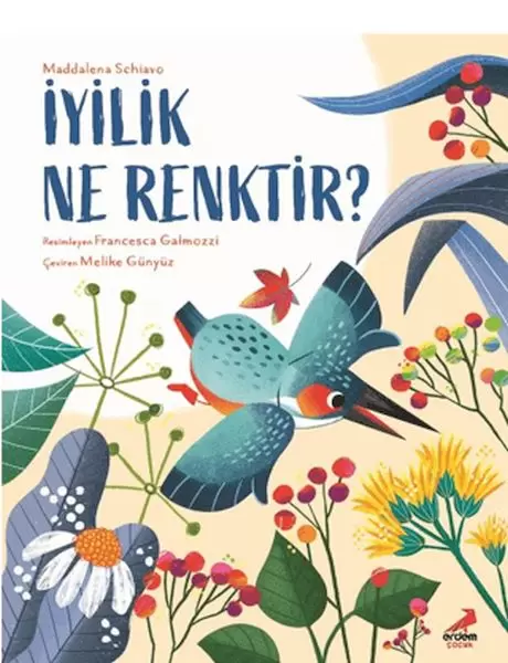 iyilik-ne-renktir