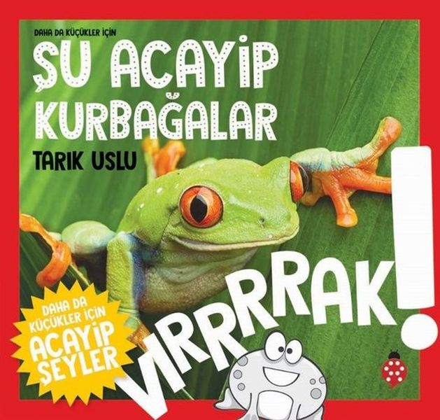 daha-kucukler-icin-su-acayip-kurbagalar