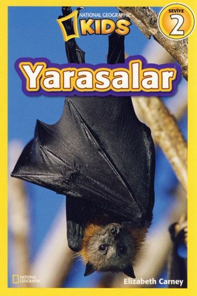 national-geographic-kids-yarasalar