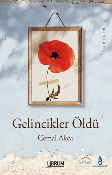 gelincikler-oldu