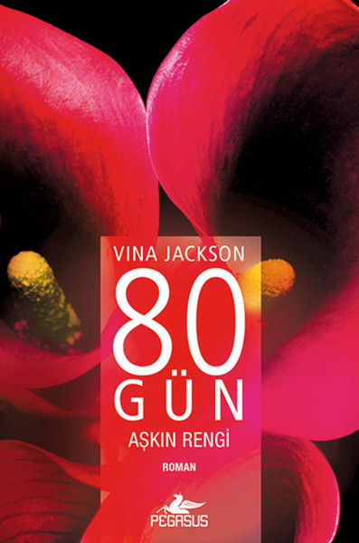 80-gun-askin-rengi