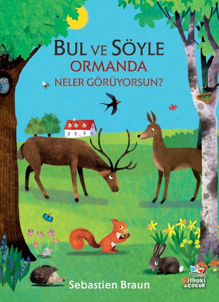 bul-ve-soyle-ormanda-neler-goruyorsun