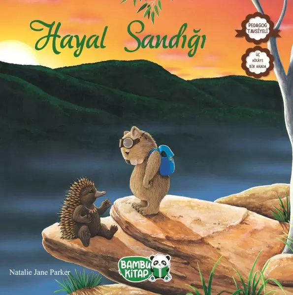 hayal-sandigi-217995