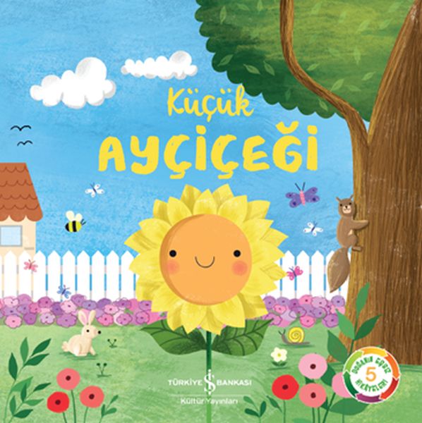 kucuk-aycicegi