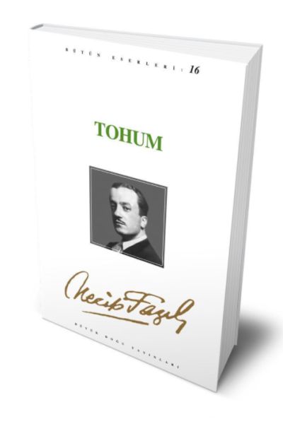 tohum-172812