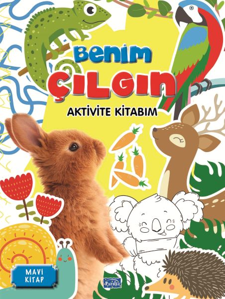 benim-cilgin-aktivite-kitabim-mavi-kitap