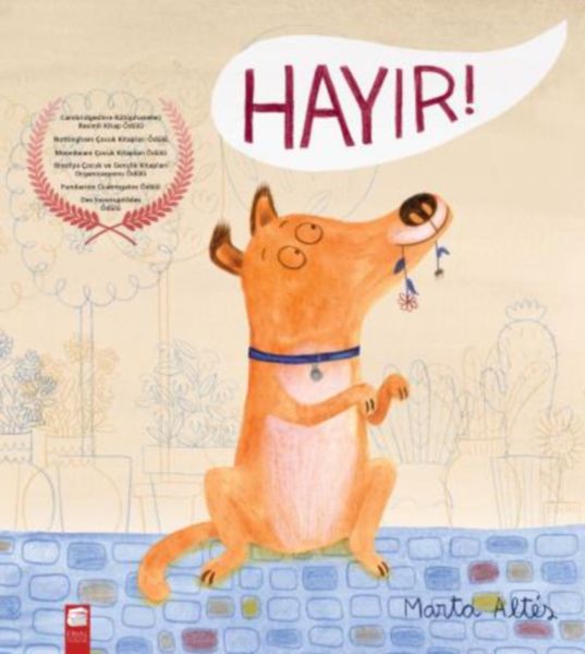 hayir-33270