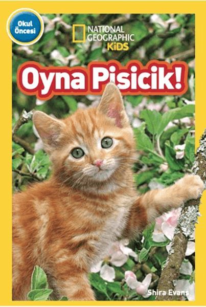 national-geographic-kids-oyna-pisicik