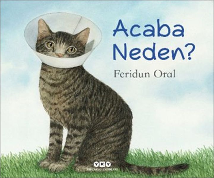 acaba-neden