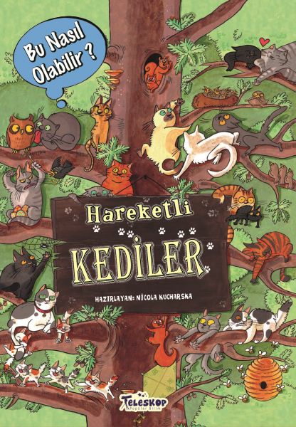 hareketli-kediler-bu-nasil-olabilir