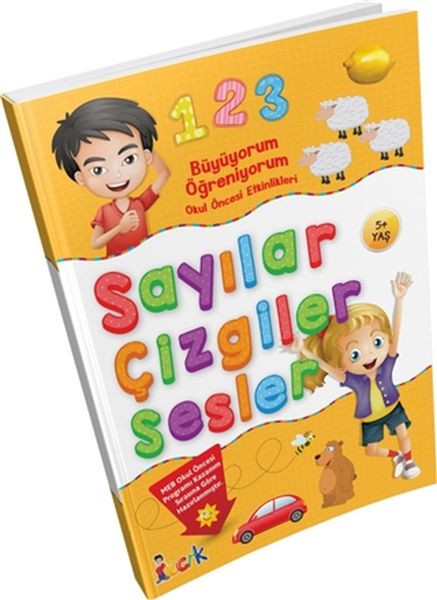 buyuyorum-ogreniyorum-okul-oncesi-etkinlikleri-sayilar-cizgiler-sesler