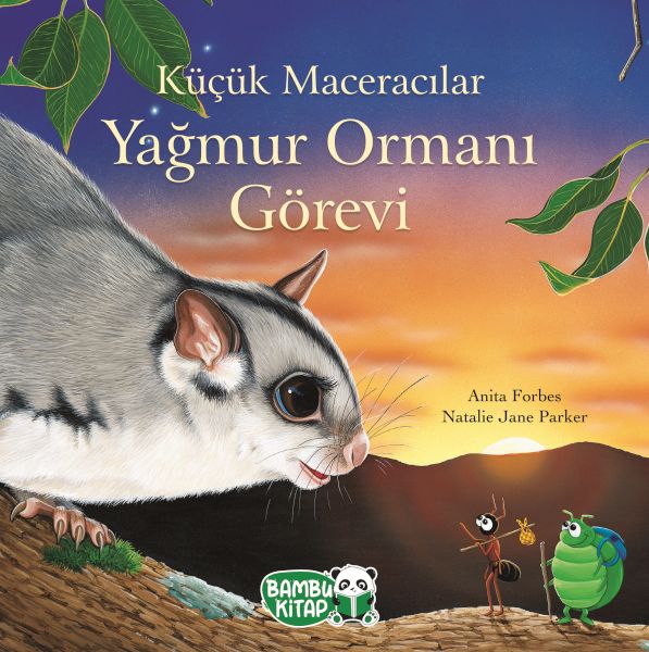 kucuk-maceracilar-yagmur-ormani-gorevi