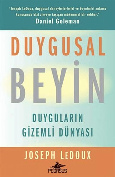 duygusal-beyin-duygularin-gizemli-dunyasi