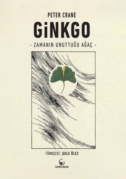 ginkgo-zamanin-unuttugu-agac