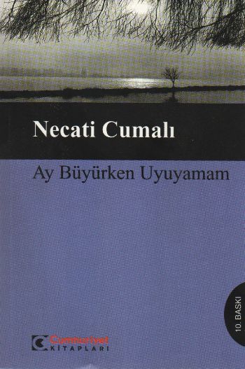 ay-buyurken-uyuyamam-butun-eserleri-5