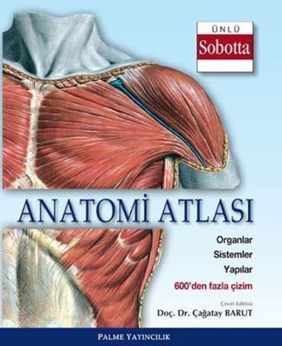 anatomi-atlasi-sobotta-cizimleri