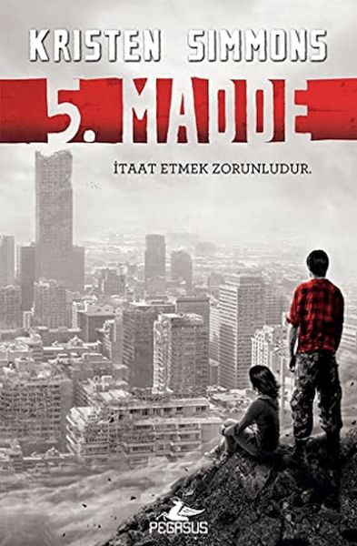 5-madde