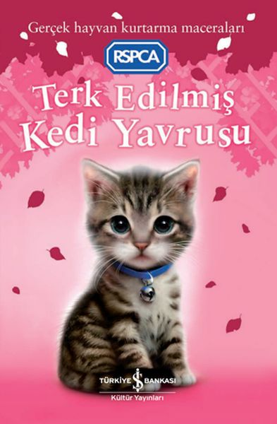 terk-edilmis-kedi-yavrusu